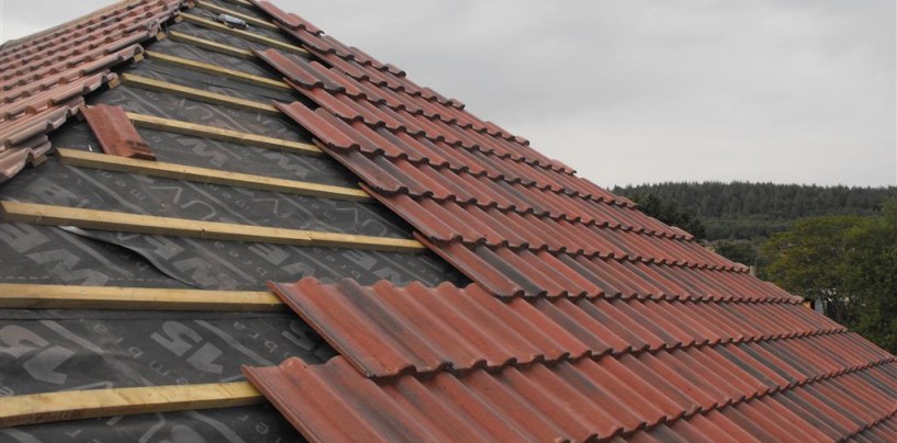 Roof Repairs in Laois